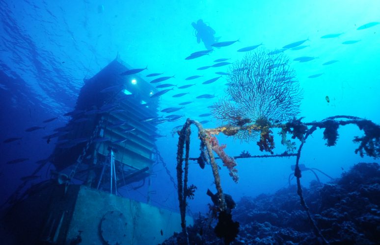 unterwasserhaus-riff